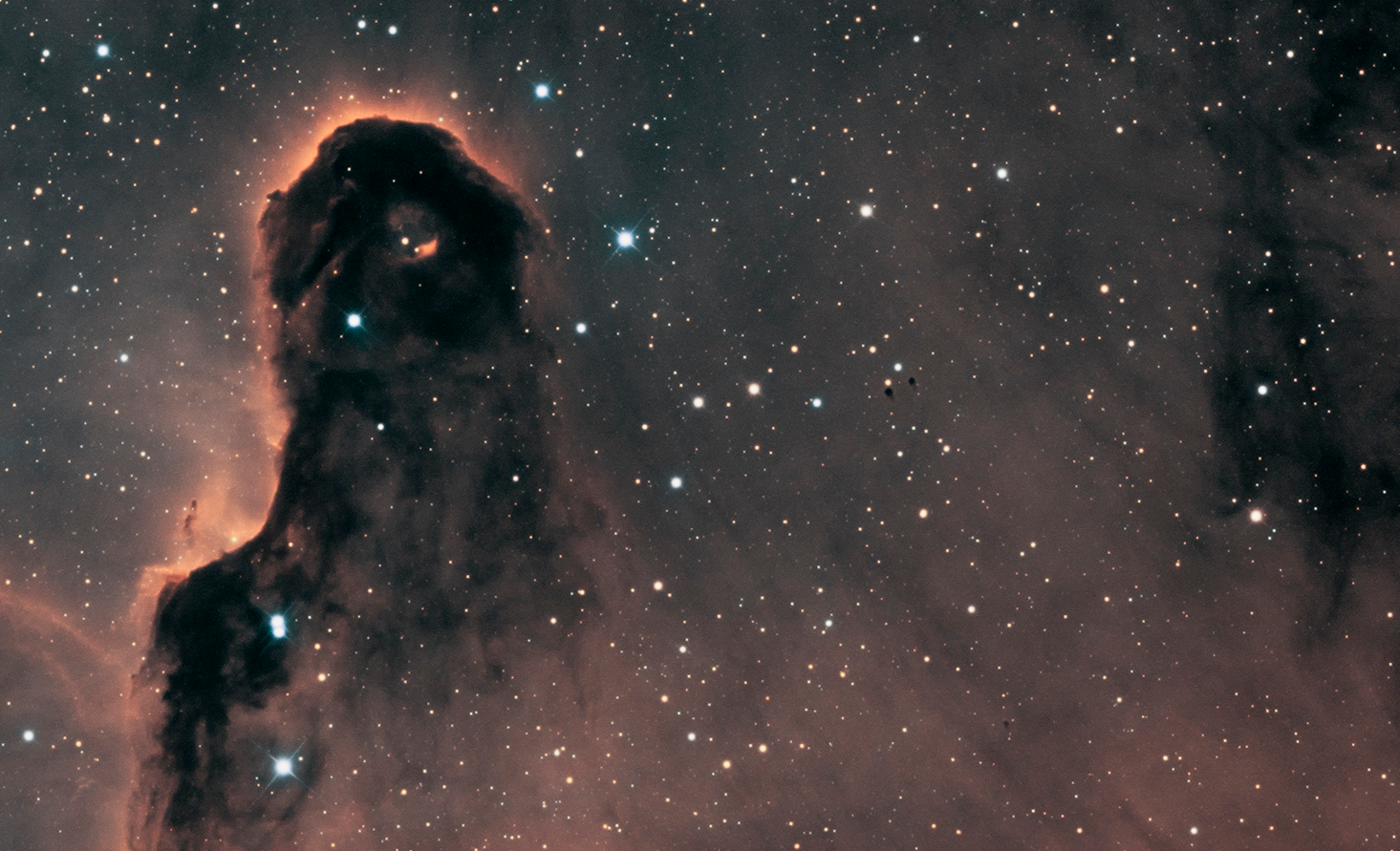 IC 1396 Elephant’s Trunk Nebula in Bi-Color palette (cropped) Capture by Denis Salnikov with QHY461 camera and AG Optical 14.5″ iDK telescope.