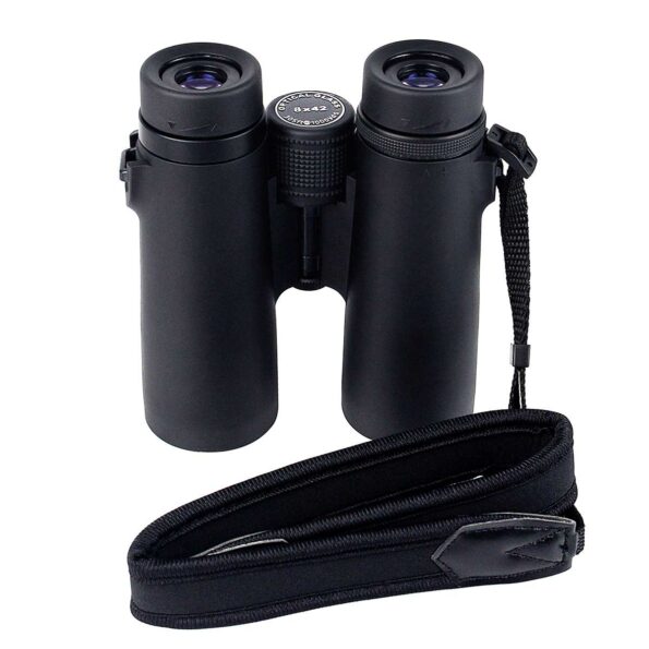 SVBONY SV21 10x42 Binoculars