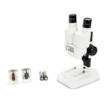 CELESTRON LABS S20 Stereo Microscope insect specimen