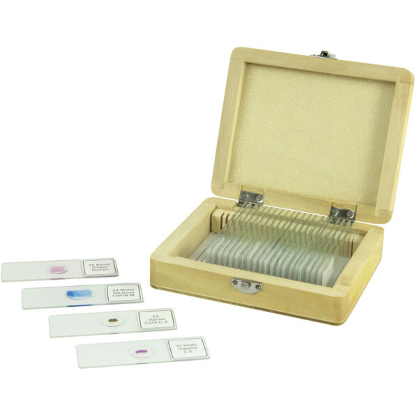 Celestron 25-Piece Prepared Microscope Slide Kit