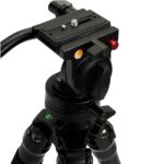 Celestron Regal Premium Tripod 2