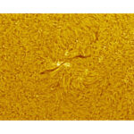 Coronado SolarMax III 90 Solar Scope with BF15_alt05