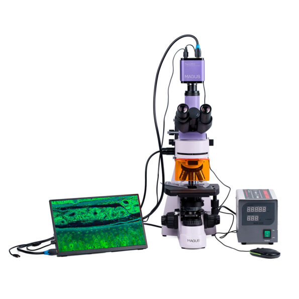 MAGUS Lum D400 LCD Fluorescence Digital Microscope