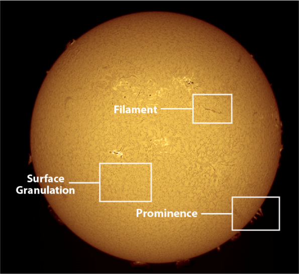 The sun in H-Alpha light and the different features visible around the solar disk and it's surface.