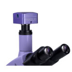 83010_magus-bio-d250tl-microscope-digital_23