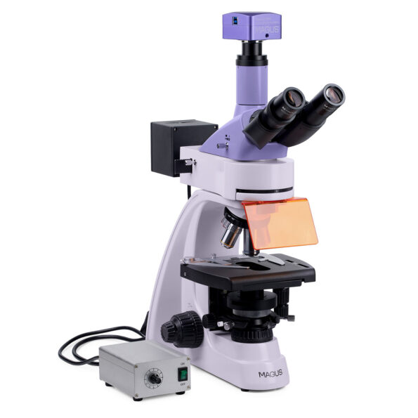 MAGUS Lum D400L Fluorescence Digital Microscope