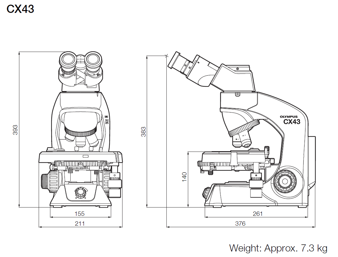 Olympus CX43 Biological Microscope Dimensions