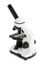 3_CM800 Microscope