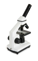 4_CM800 Microscope