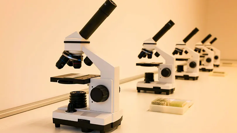 The Best Microscopes from Our Collection
