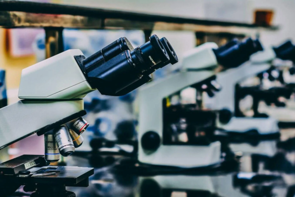 Different types of microscope for different types of microcosmoses