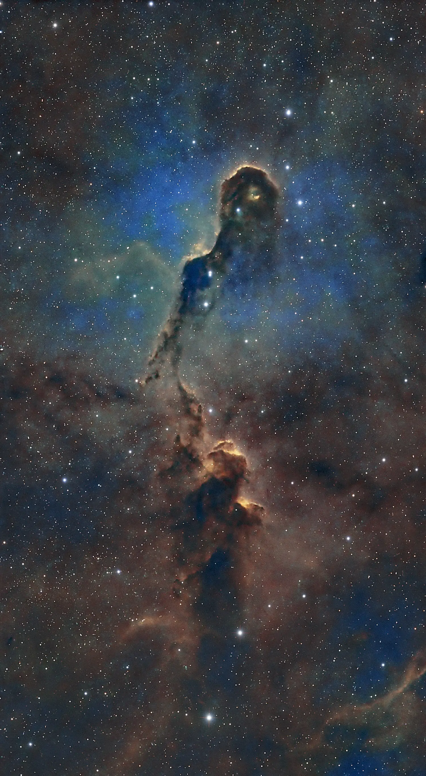 IC 1396 Elephant's Trunk Nebula