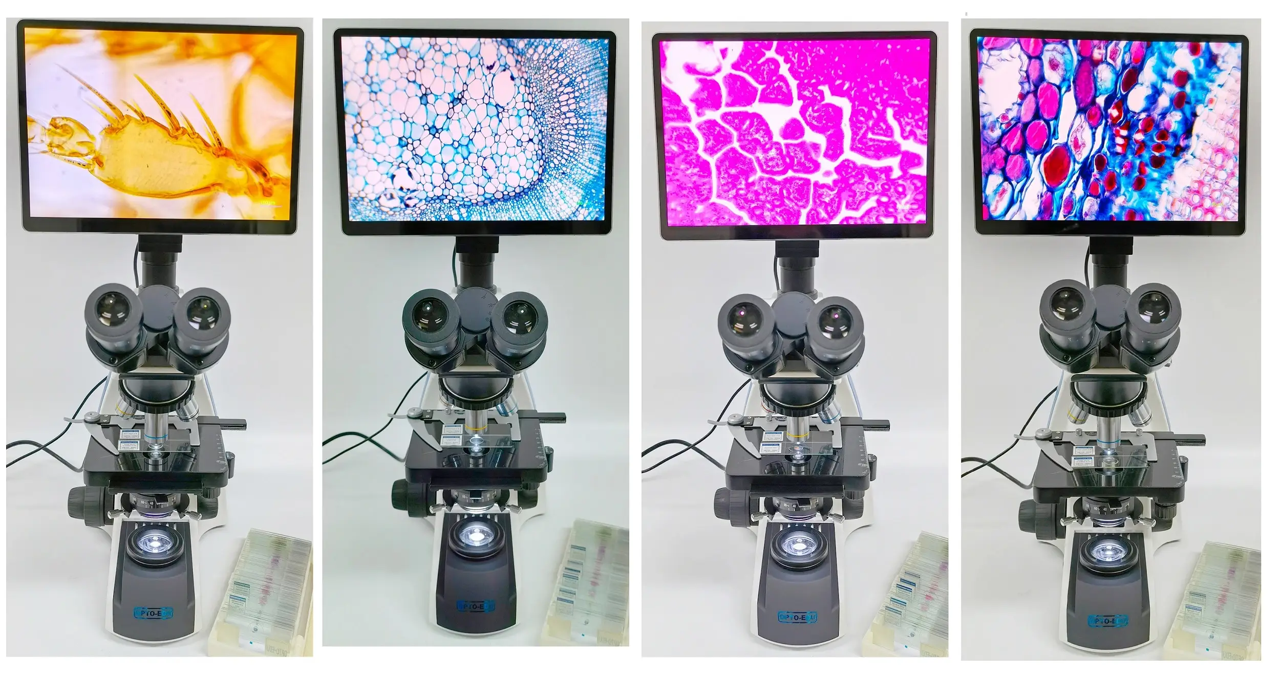 OPTO-EDU A33.1502 LCD Digital Lab Microscope