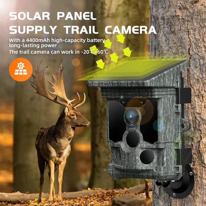 4K Solar WiFi Trail Camera for Wildlife Monitoring & Security