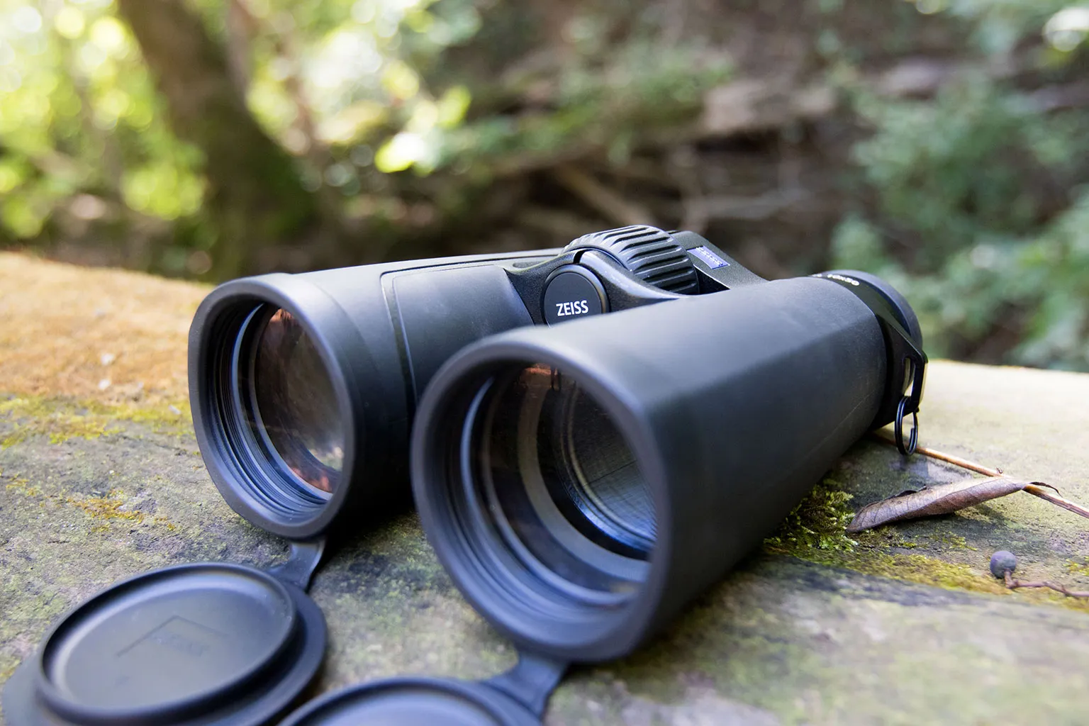 Zeiss SFL 10x50: Best Overall Performance