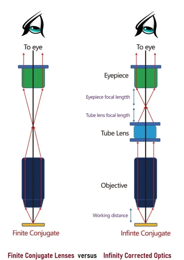 Finite Conjugate Lenses versus Infinity Corrected Optics