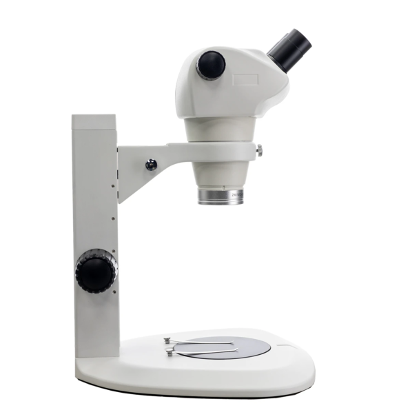 stereo microscope