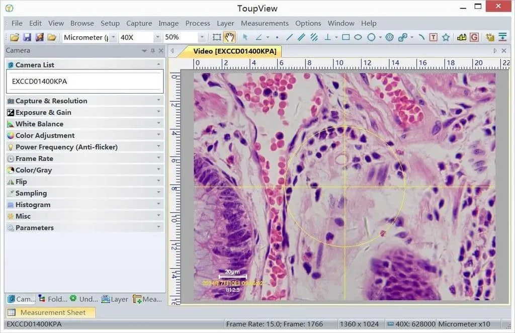 Digital Microscopy: How Microscope Cameras Changed Modern Observation