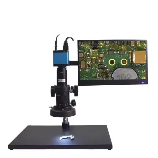Digital Microscopy: How Microscope Cameras Changed Modern Observation