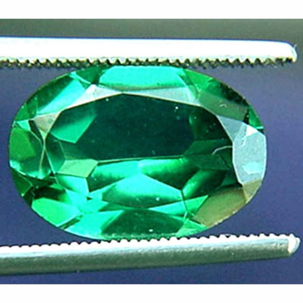 resized-image (1)