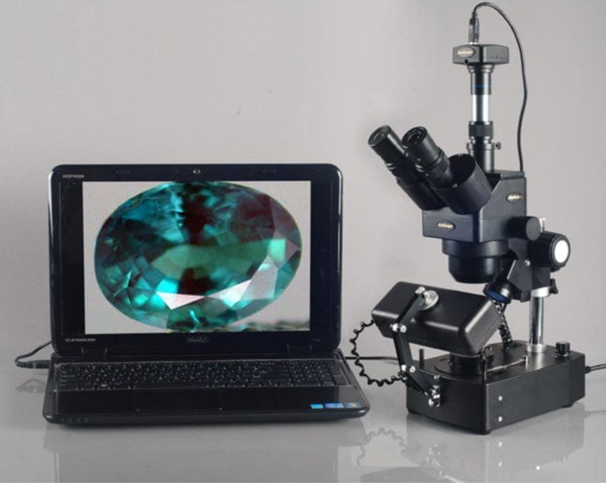 Gemstones Under Magnification: The AmScope SH-2 Stereo Microscope for Modern Gemology
