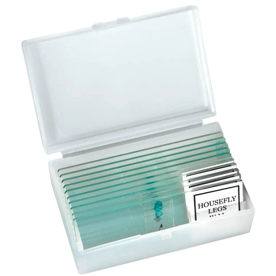 BRESSER Student Microscope MicroSet 40x-1600x Prepared slides included BRESSER Student Microscope MicroSet 40x-1600x