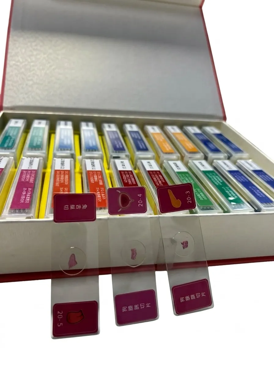 Bresser Prepared Slides Set 100pcs, with case 59-84603HB (4) Bresser Prepared Microscope Slides Set 100pcs, with case