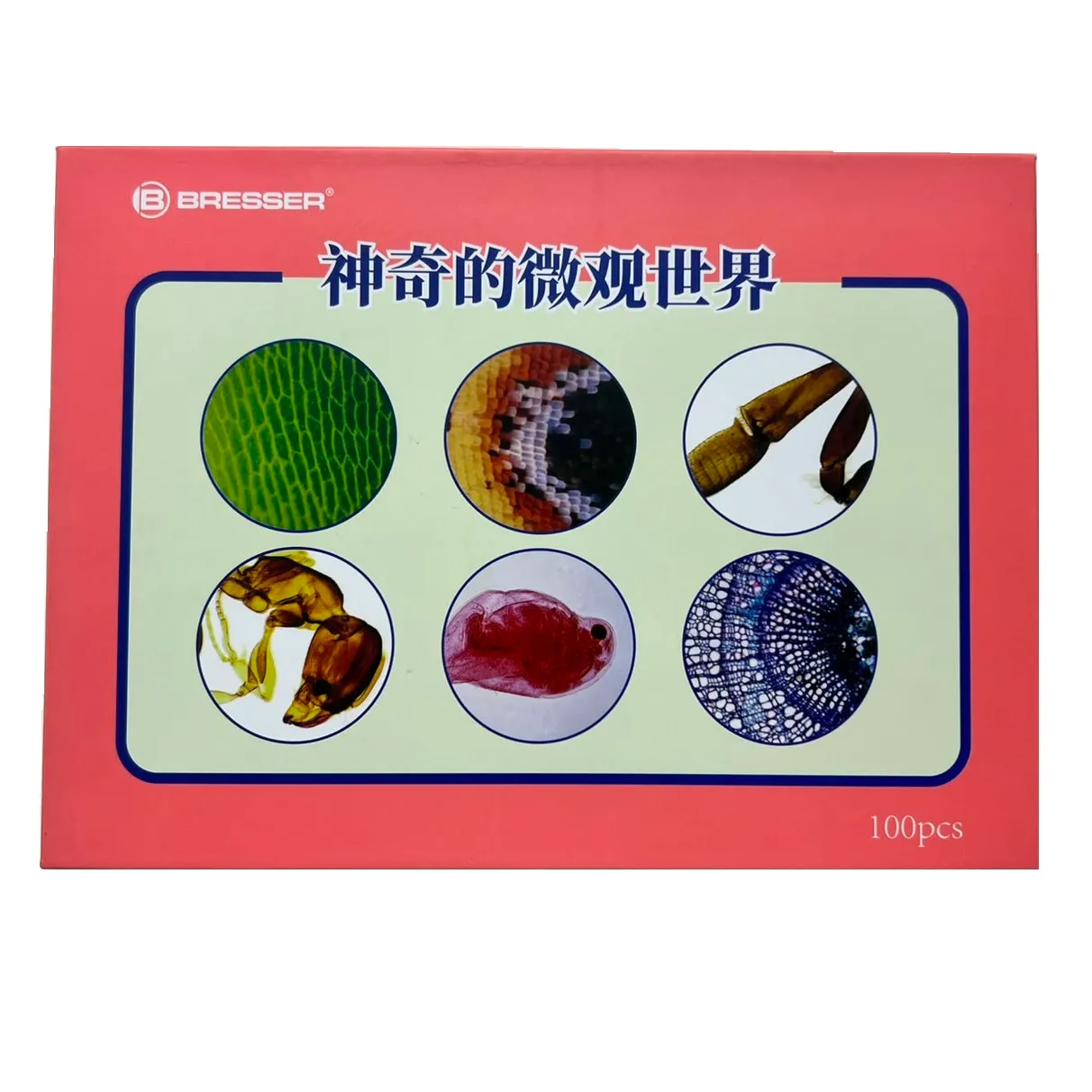 Bresser Prepared Slides Set 100pcs, with case 59-84603HB (6) Bresser Prepared Microscope Slides Set 100pcs, with case
